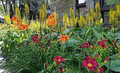winnipeg garden designer