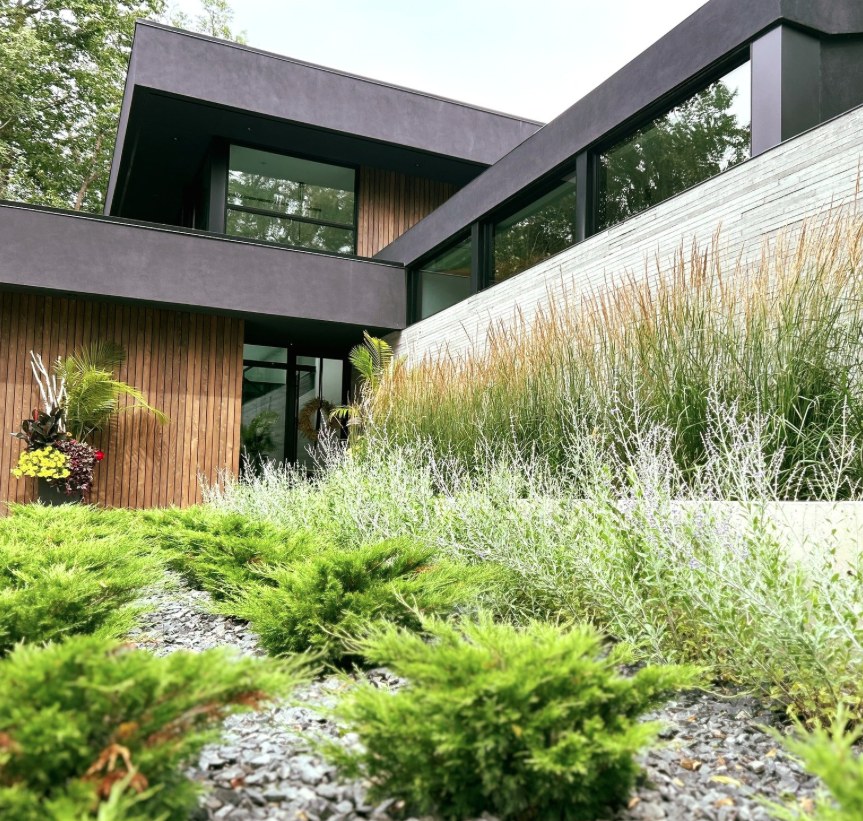 Architectural landscape with ornamental grasses