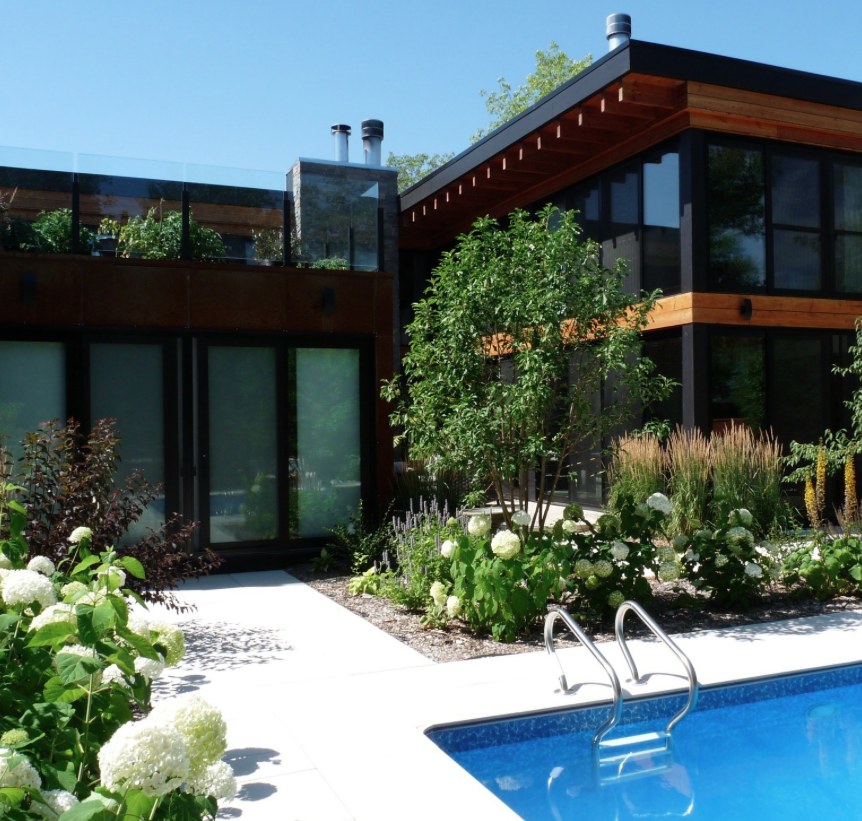 Modern home with pool and white hydrangeas