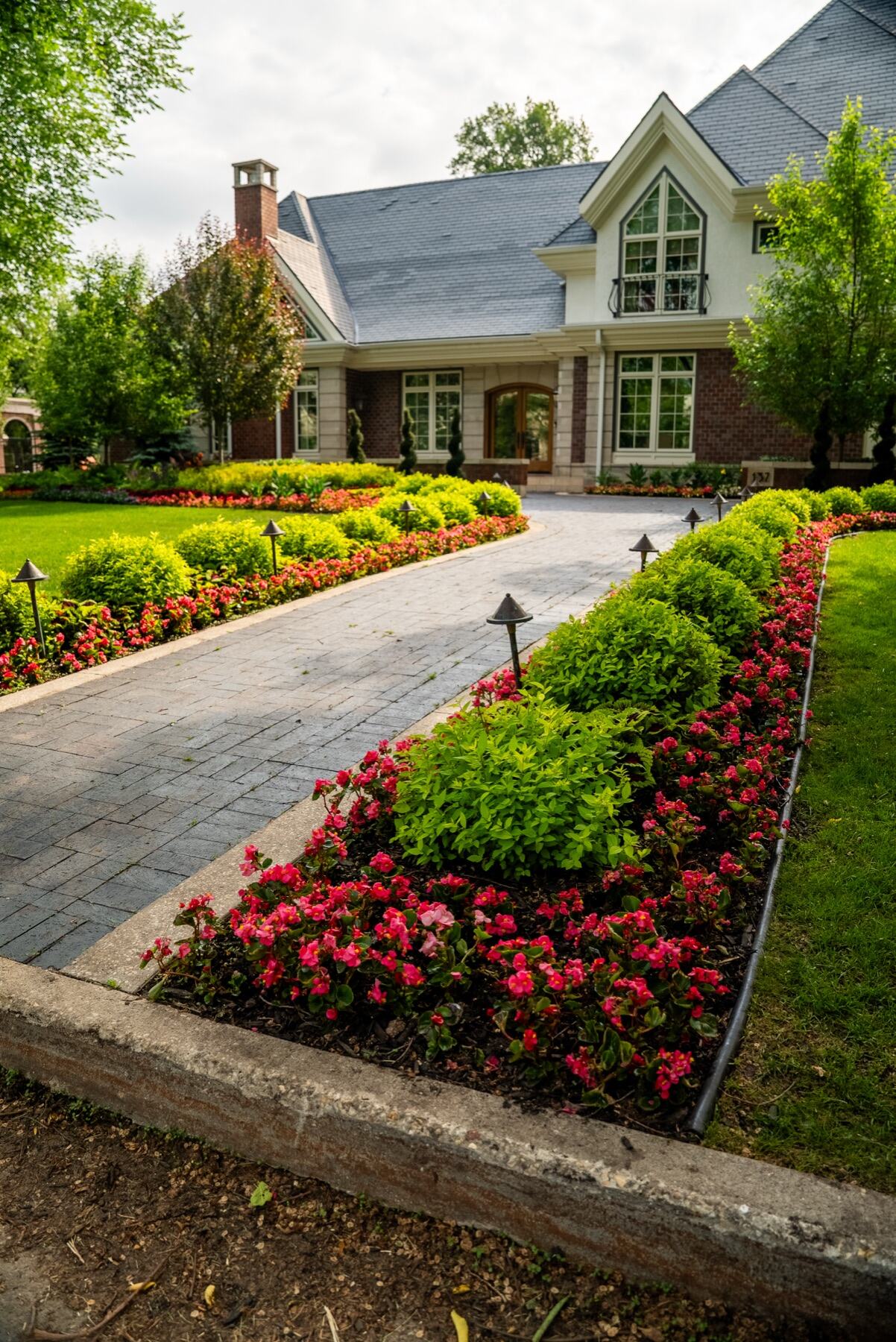 Formal driveway garden with annuals and clipped shrubs