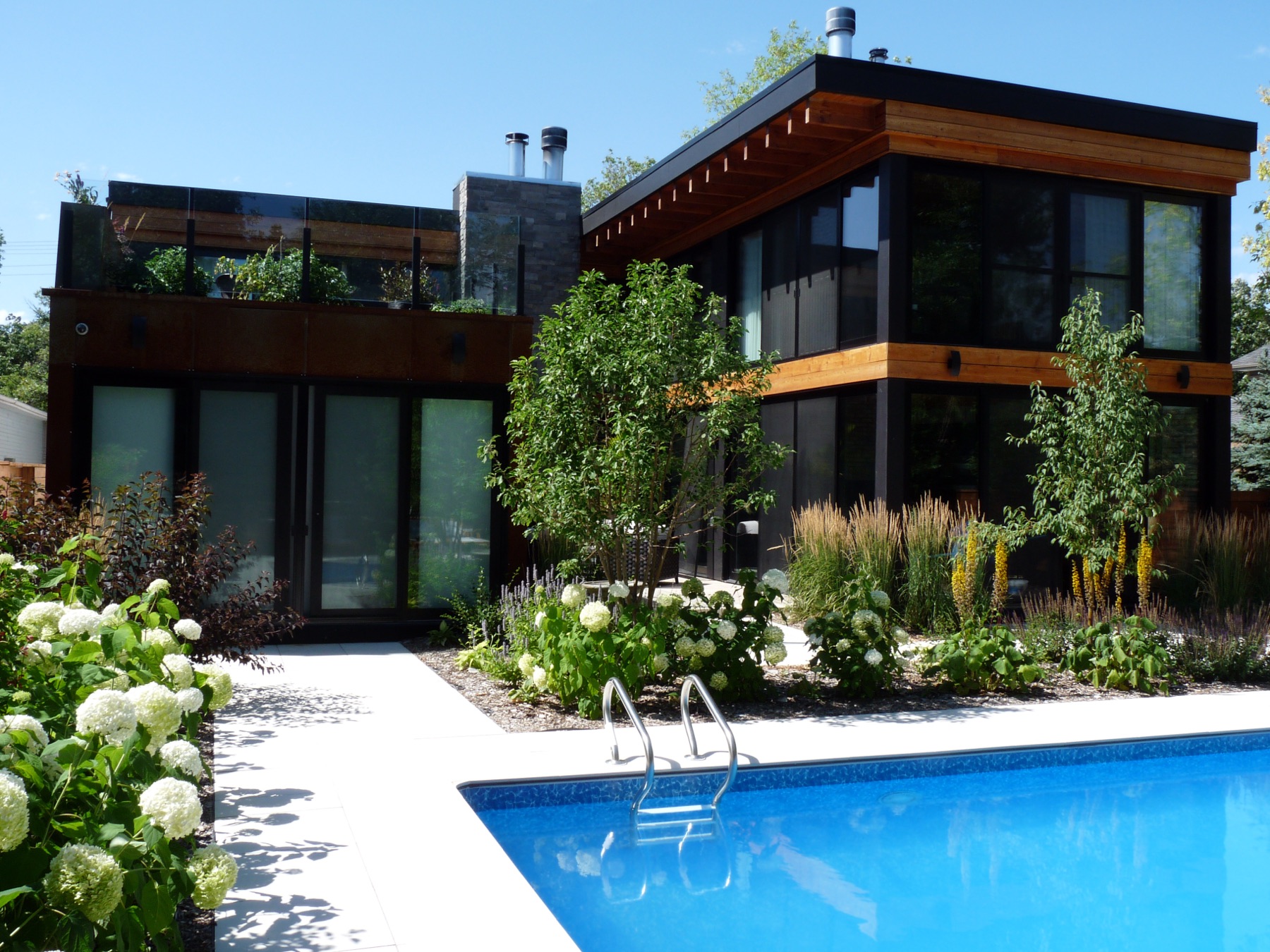 Modern home with pool and white hydrangeas
