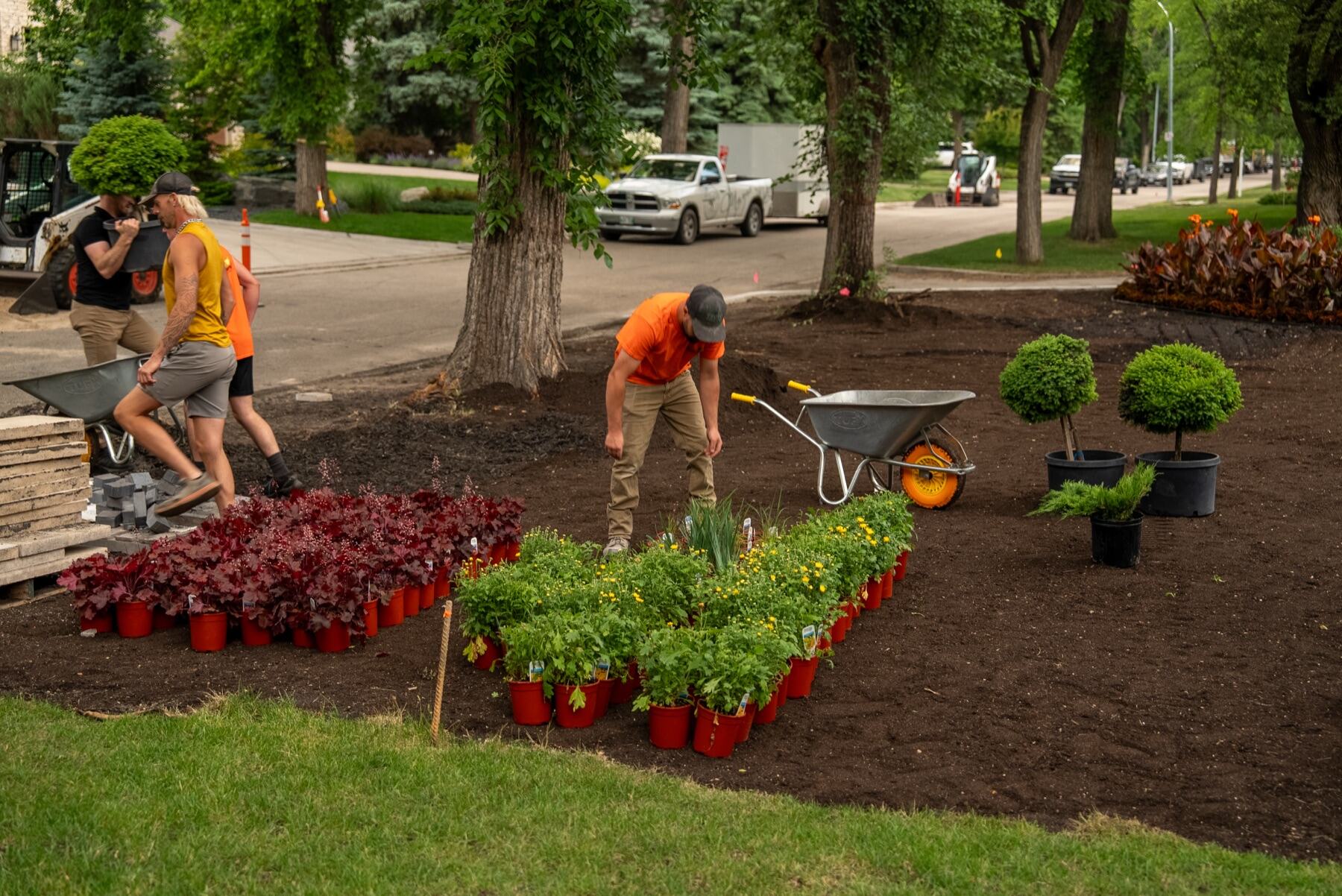 Crew planting garden beds